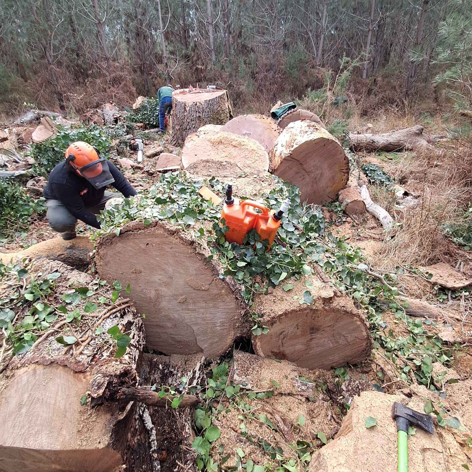 Travaux divers - Photo 15