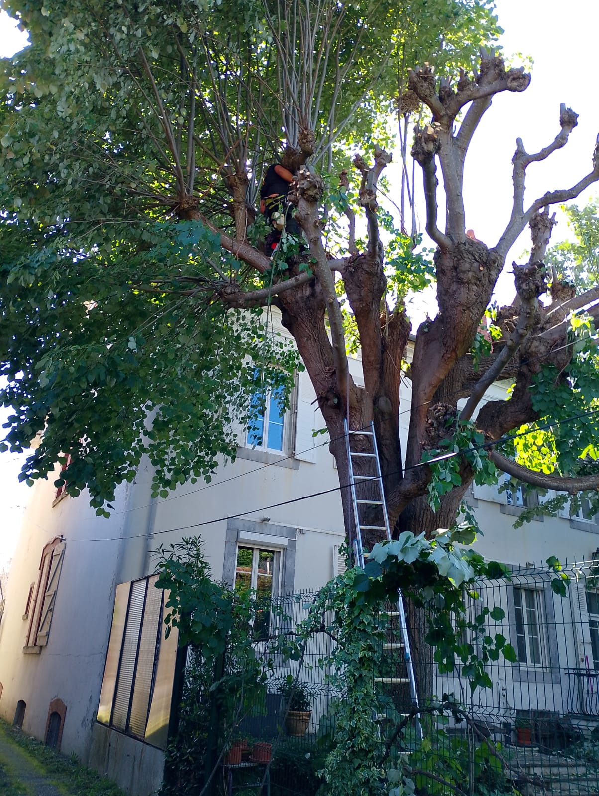 Travaux divers - Photo 4